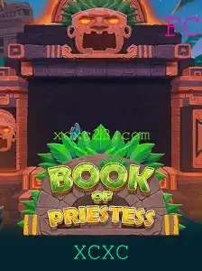 Explorando o Fascinante Mundo de BookOfPriestess: Um Jogo Encantador